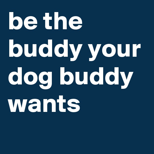 be the buddy your dog buddy wants 