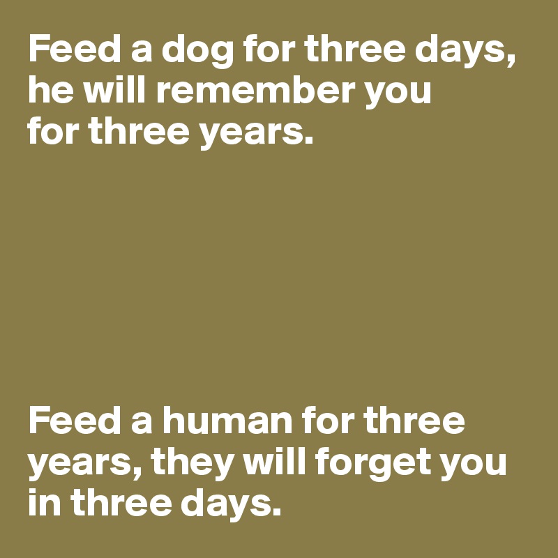 DEMIC - Feed a dog for three days they will remember you for three
