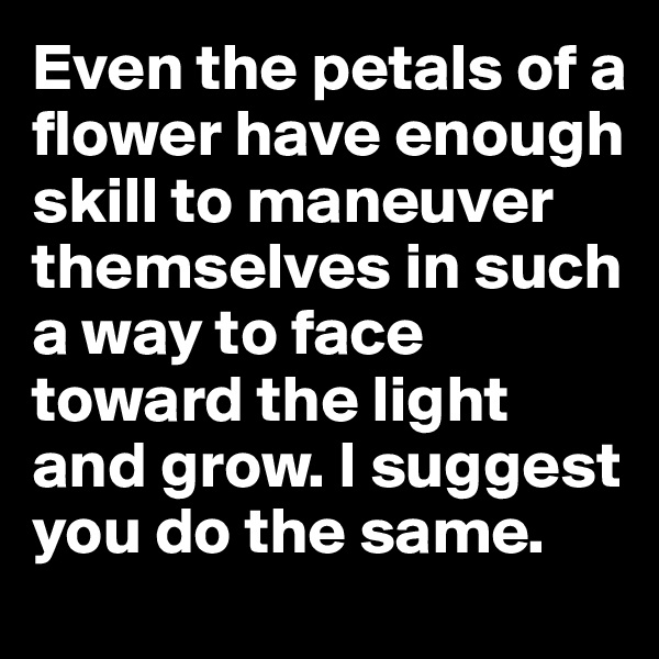 Even the petals of a flower have enough skill to maneuver themselves in such a way to face toward the light and grow. I suggest you do the same.