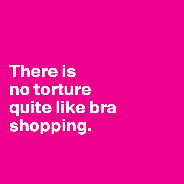 


There is 
no torture 
quite like bra shopping. 

