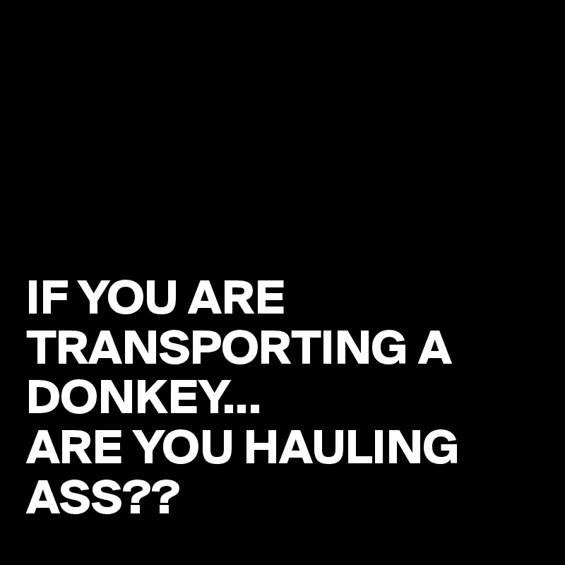 




IF YOU ARE TRANSPORTING A DONKEY...
ARE YOU HAULING ASS??