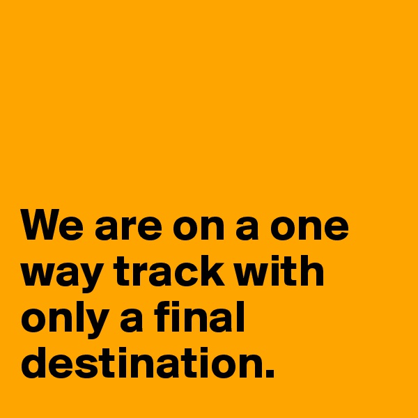 



We are on a one way track with only a final destination. 