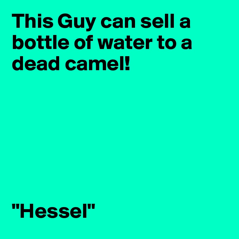 This Guy can sell a bottle of water to a dead camel!






"Hessel"