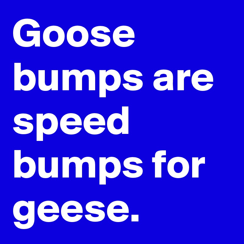 Goose bumps are speed bumps for geese.