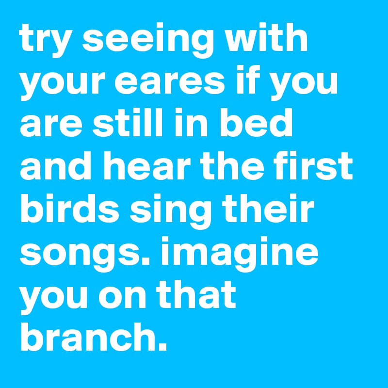 try seeing with your eares if you are still in bed and hear the first birds sing their songs. imagine you on that branch. 