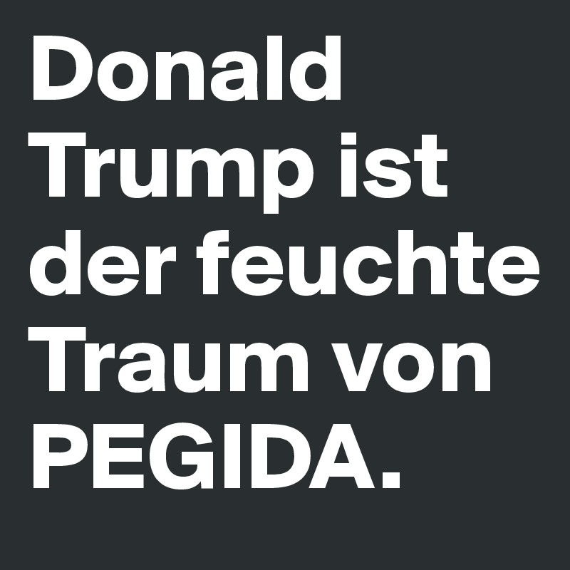 Donald Trump ist der feuchte Traum von PEGIDA.