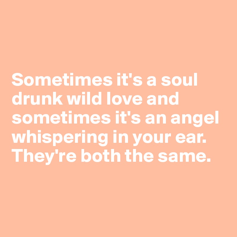 


Sometimes it's a soul drunk wild love and sometimes it's an angel whispering in your ear. They're both the same. 


