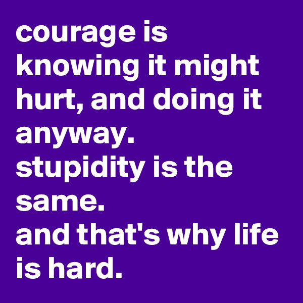 courage is knowing it might hurt, and doing it anyway. 
stupidity is the same. 
and that's why life is hard.