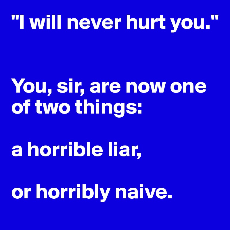 "I will never hurt you."


You, sir, are now one of two things: 

a horrible liar, 

or horribly naive. 