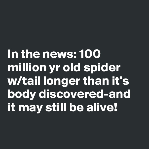 


In the news: 100 million yr old spider w/tail longer than it's body discovered-and it may still be alive!

