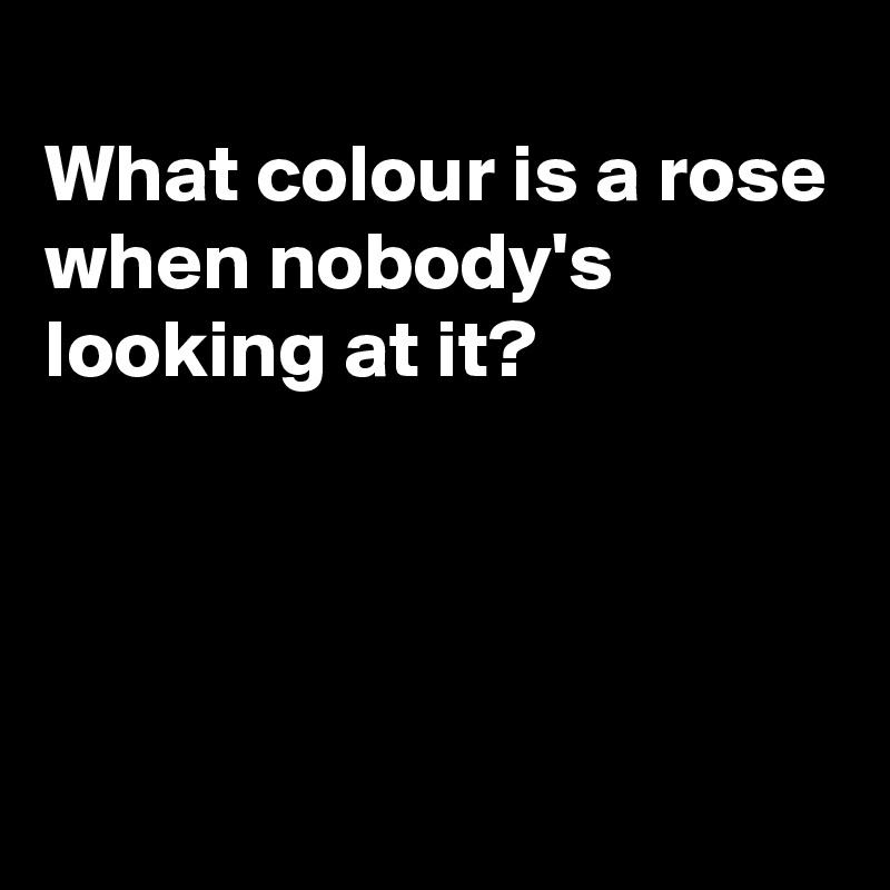 
What colour is a rose
when nobody's looking at it?



