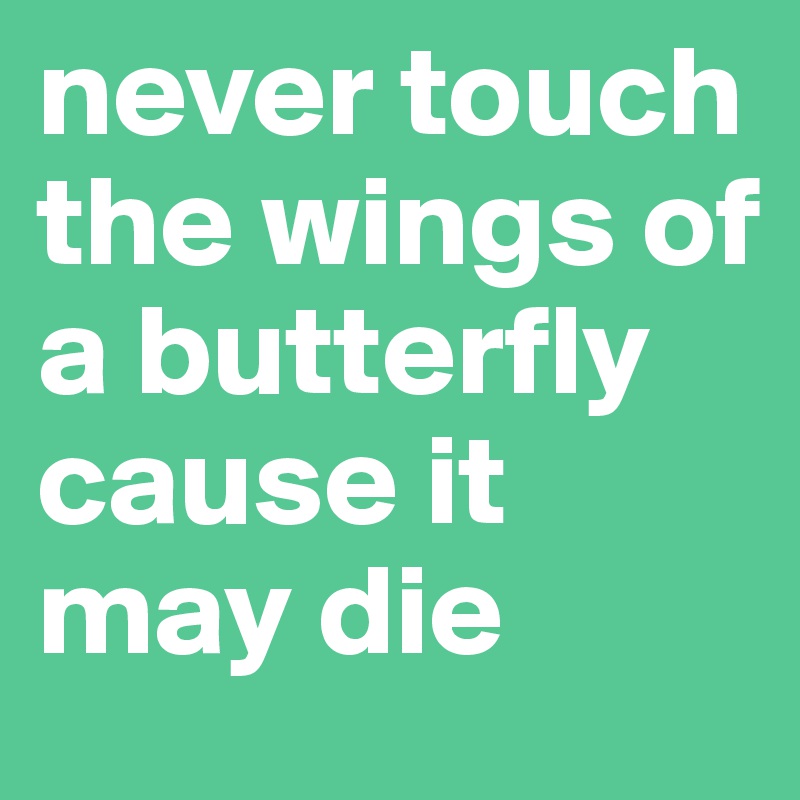 never touch the wings of a butterfly cause it may die 