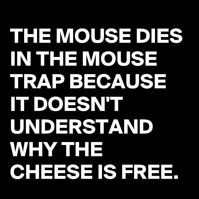 THE MOUSE DIES IN THE MOUSE TRAP BECAUSE IT DOESN'T UNDERSTAND WHY THE CHEESE IS FREE.