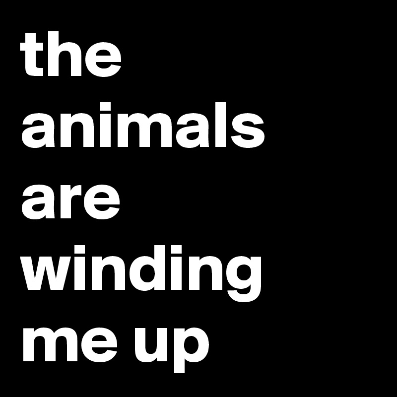 the animals are winding me up