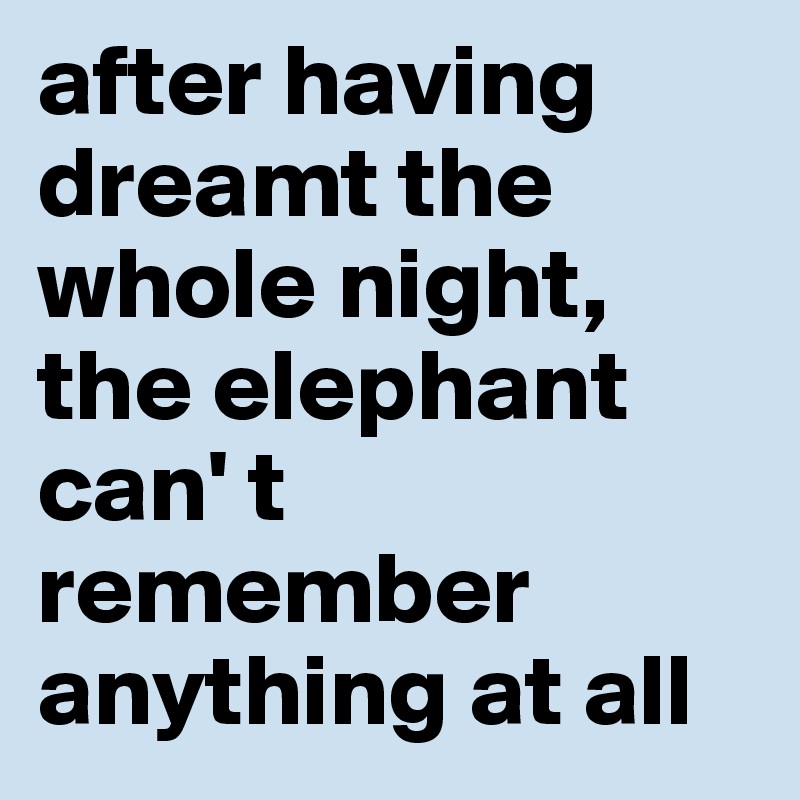 after having dreamt the whole night, the elephant can' t remember anything at all