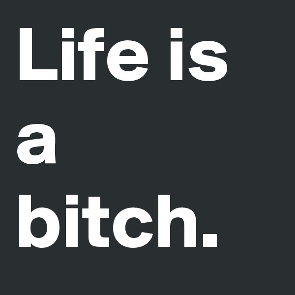 Life is a bitch.