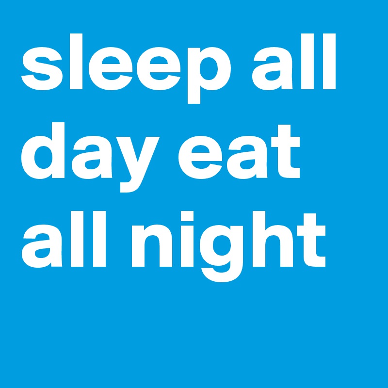 sleep all day eat all night