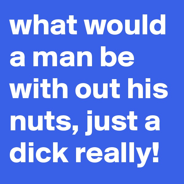 what would a man be with out his nuts, just a dick really!