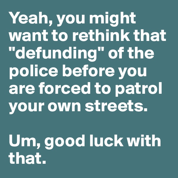 Yeah, you might want to rethink that "defunding" of the police before you are forced to patrol your own streets. 

Um, good luck with that.