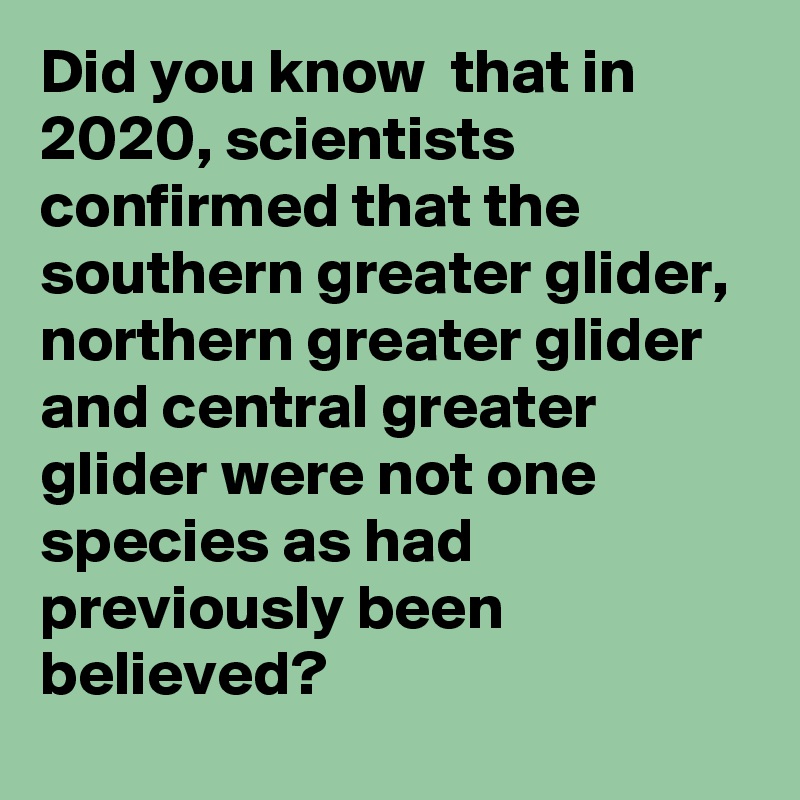 Did you know  that in 2020, scientists confirmed that the southern greater glider, northern greater glider and central greater glider were not one species as had previously been believed?