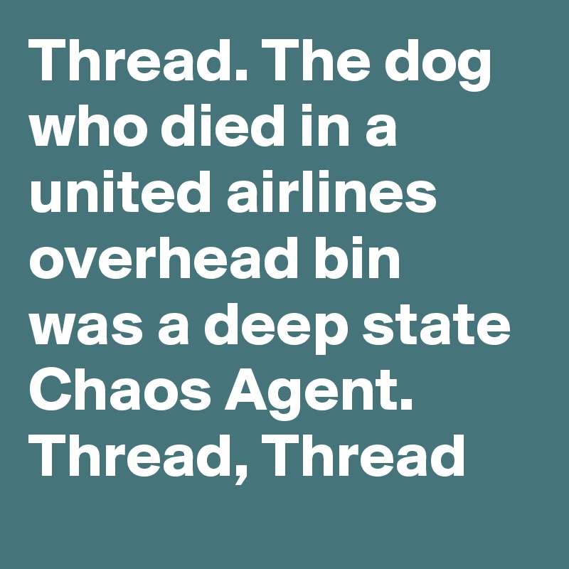 Thread. The dog who died in a united airlines overhead bin was a deep state Chaos Agent. Thread, Thread