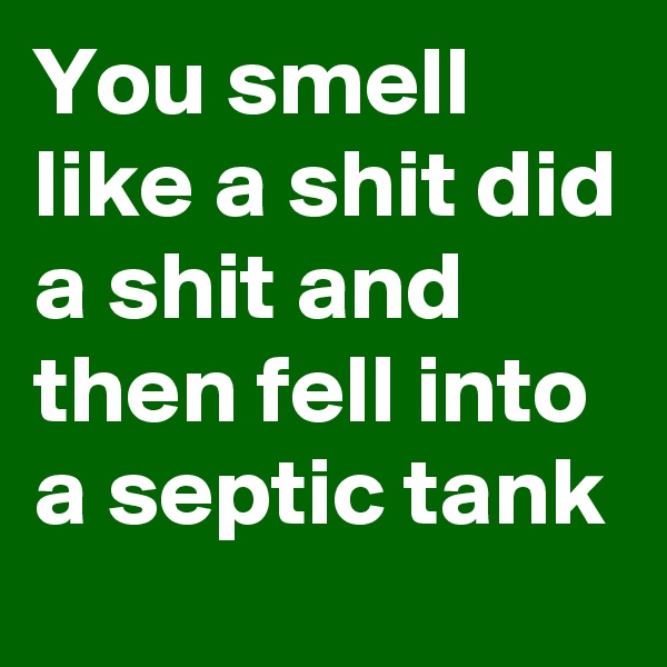 You smell like a shit did a shit and then fell into a septic tank