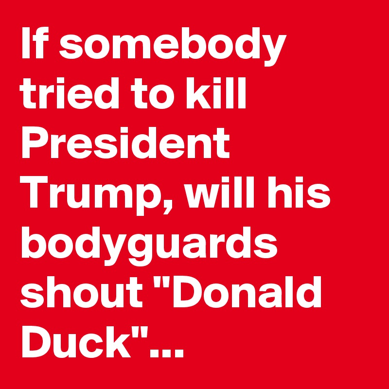 If somebody tried to kill President Trump, will his bodyguards shout "Donald Duck"...