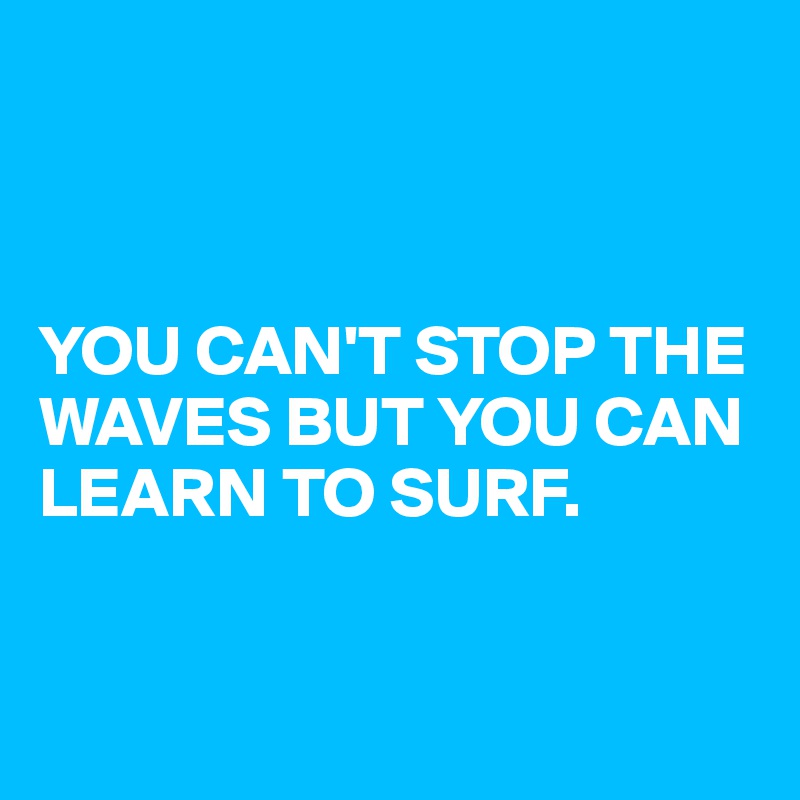 



YOU CAN'T STOP THE WAVES BUT YOU CAN LEARN TO SURF. 


