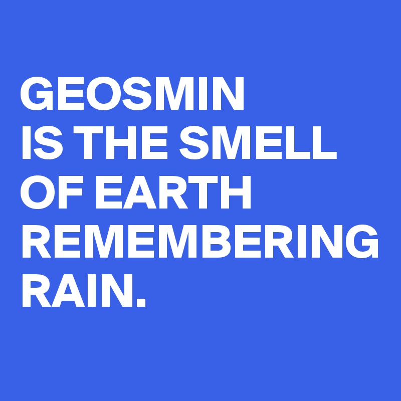 
GEOSMIN
IS THE SMELL
OF EARTH
REMEMBERING
RAIN.
