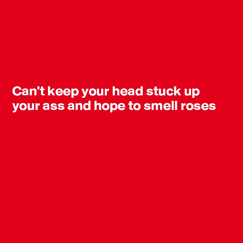 




Can't keep your head stuck up your ass and hope to smell roses







