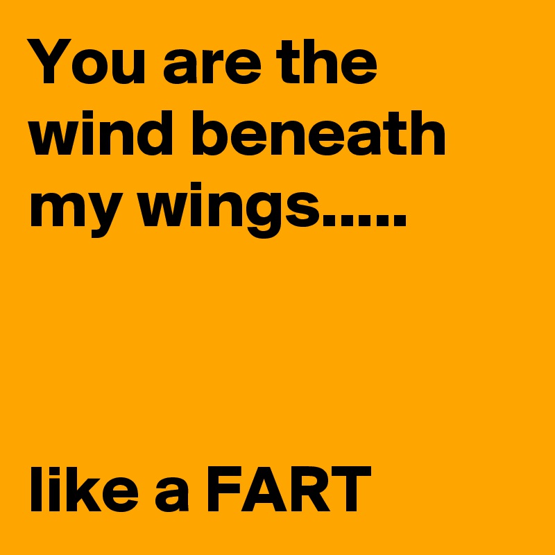 You are the wind beneath my wings.....



like a FART
