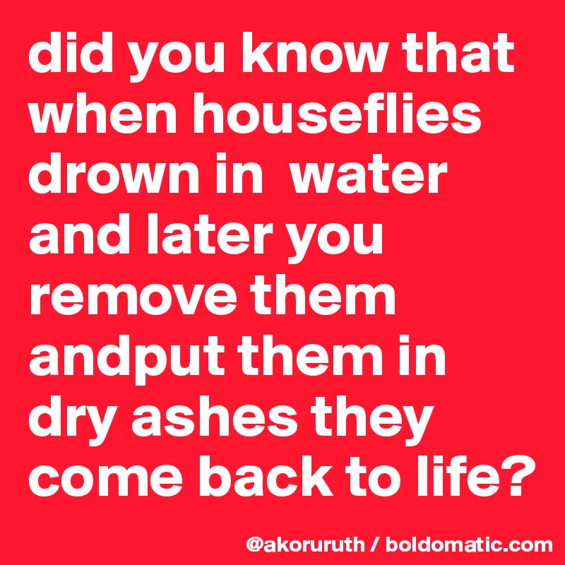 did you know that when houseflies drown in  water and later you remove them andput them in dry ashes they come back to life?
