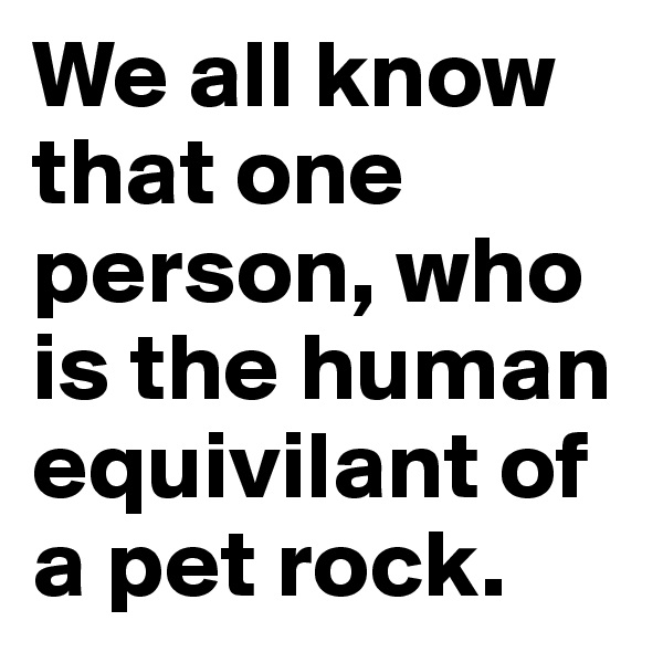 We all know that one person, who is the human equivilant of a pet rock. 
