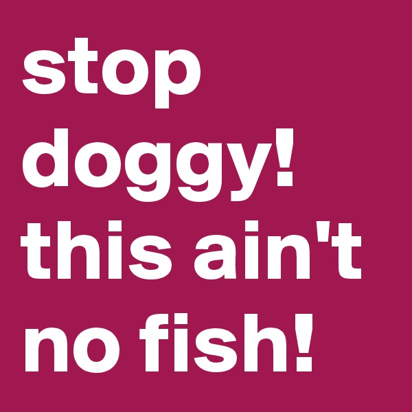 stop doggy!
this ain't no fish!