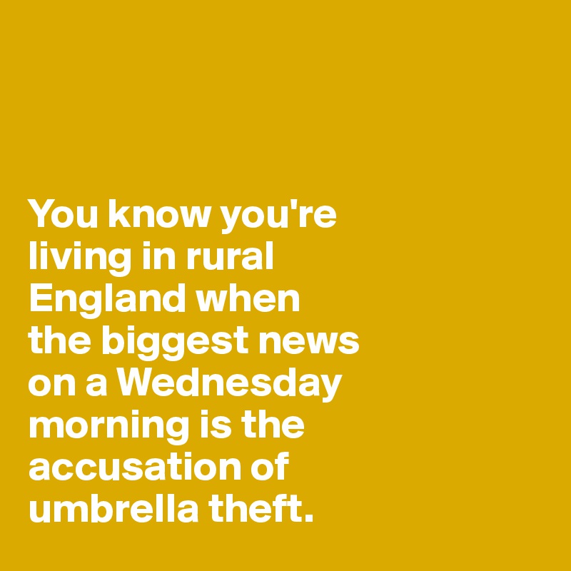 



You know you're 
living in rural 
England when 
the biggest news 
on a Wednesday 
morning is the 
accusation of  
umbrella theft.