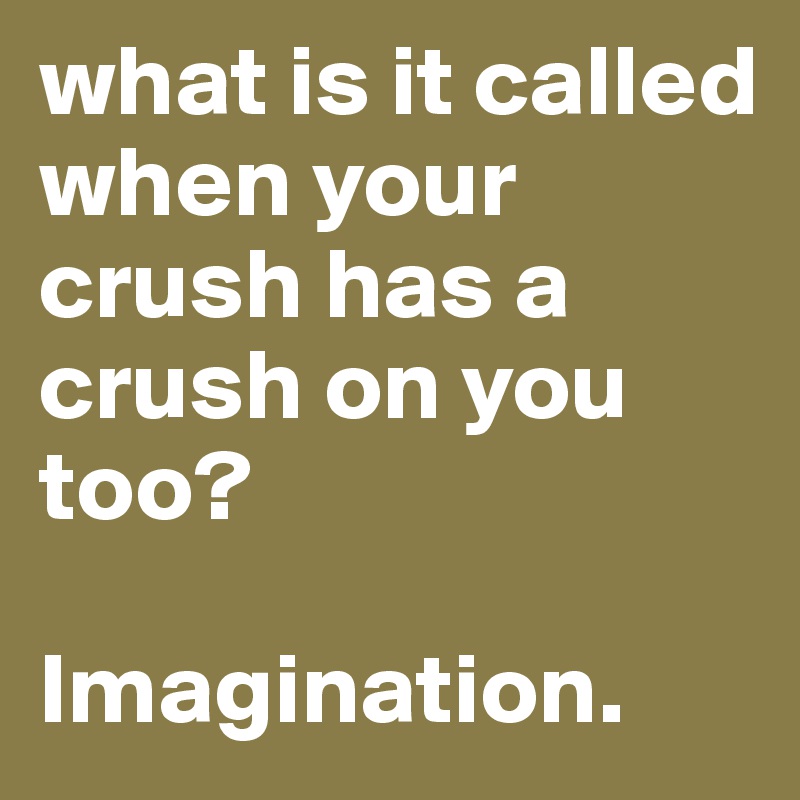 what is it called when your crush has a crush on you too?

Imagination. 