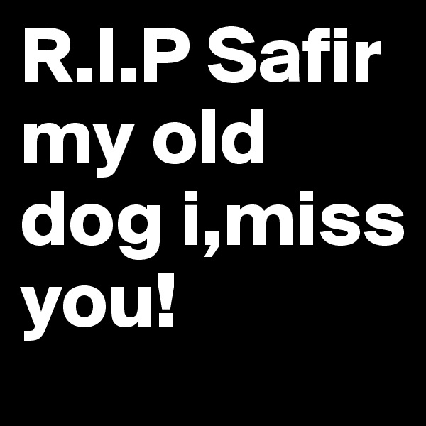 R.I.P Safir my old dog i,miss you!