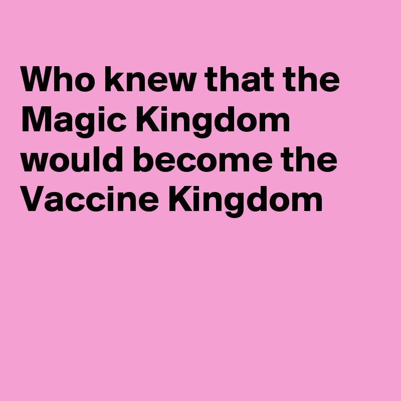 
Who knew that the Magic Kingdom  would become the  Vaccine Kingdom 



