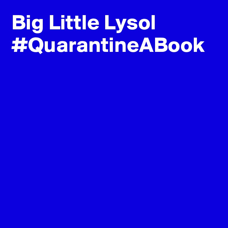 Big Little Lysol #QuarantineABook