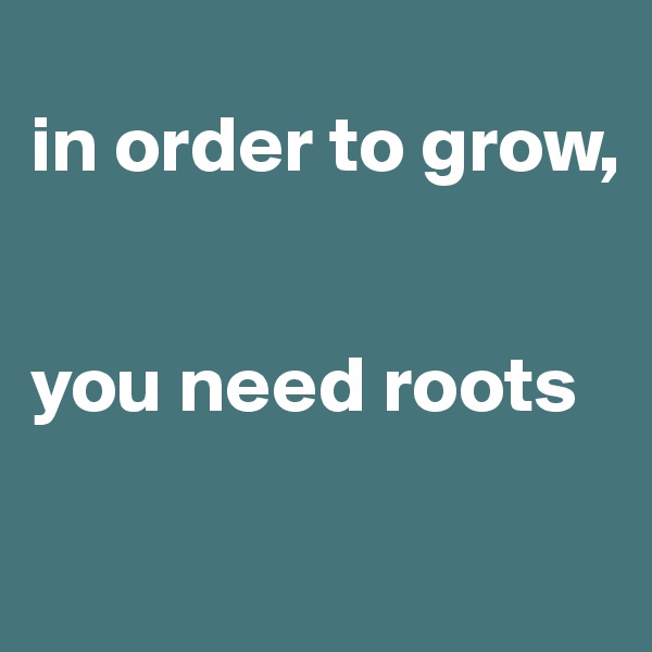 
in order to grow,


you need roots

