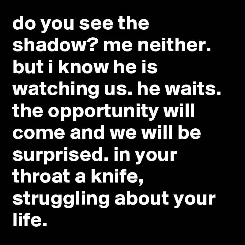 do you see the shadow? me neither. but i know he is watching us. he waits. the opportunity will come and we will be surprised. in your throat a knife, struggling about your life.