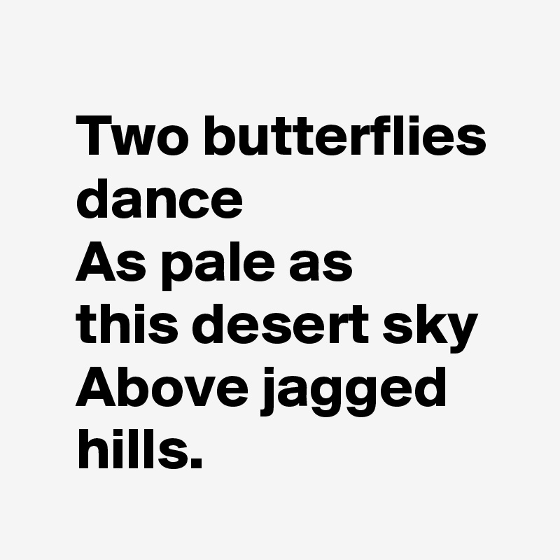 
    Two butterflies
    dance
    As pale as
    this desert sky
    Above jagged
    hills.

