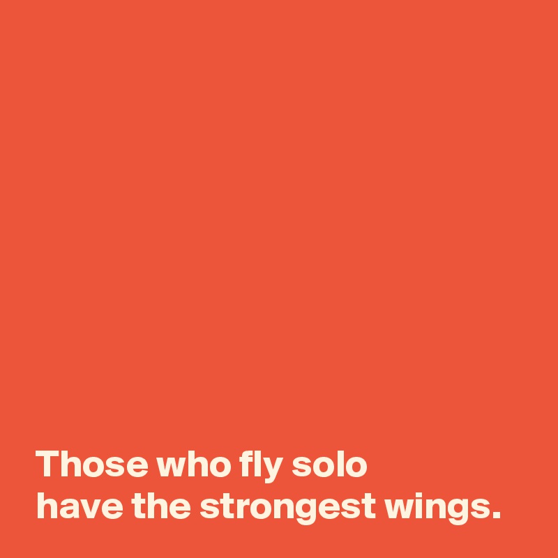 









 Those who fly solo 
 have the strongest wings.