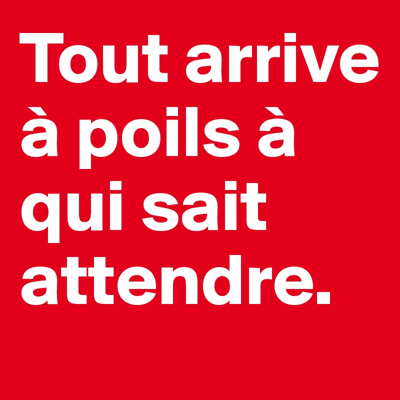 Tout arrive à poils à qui sait attendre. 