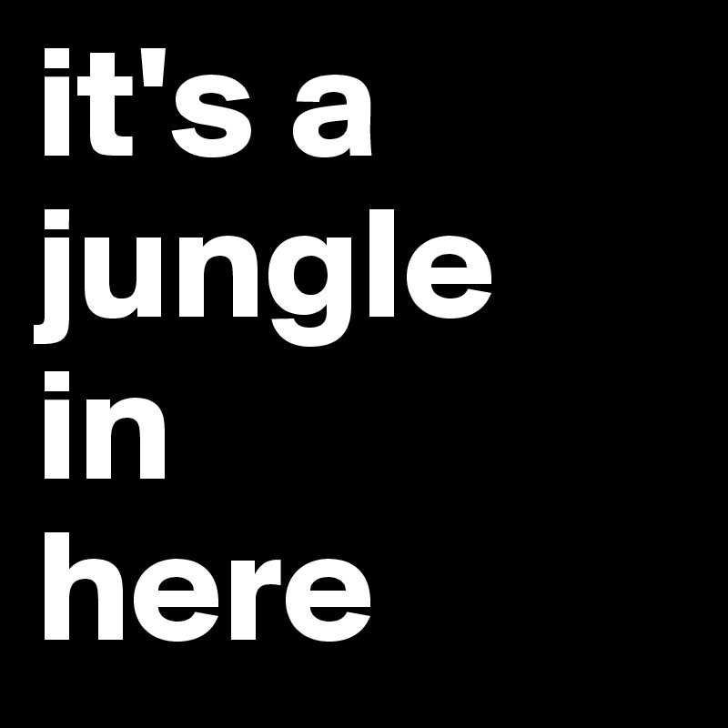it's a jungle
in
here