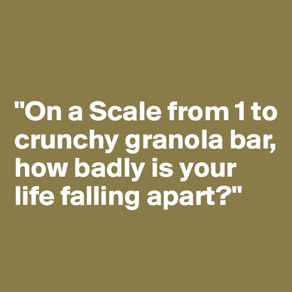


"On a Scale from 1 to crunchy granola bar, how badly is your life falling apart?"

