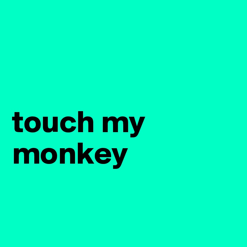 


touch my monkey

