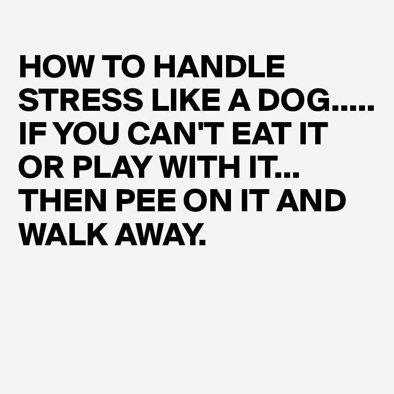 
HOW TO HANDLE STRESS LIKE A DOG.....
IF YOU CAN'T EAT IT OR PLAY WITH IT...
THEN PEE ON IT AND WALK AWAY.


  