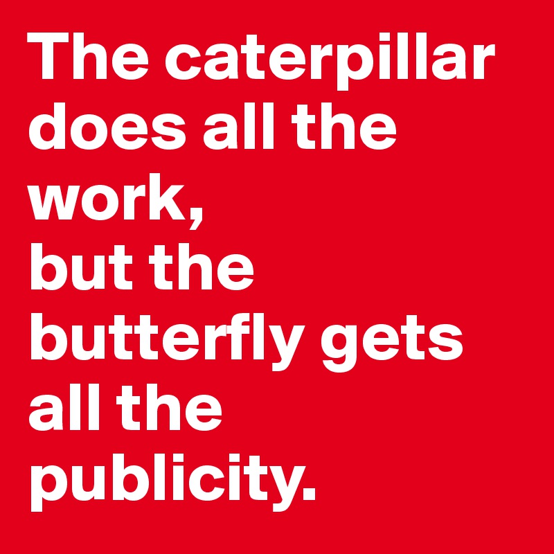 The caterpillar does all the work, 
but the butterfly gets all the publicity.