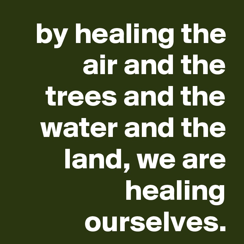 by healing the air and the trees and the water and the land, we are healing
ourselves.